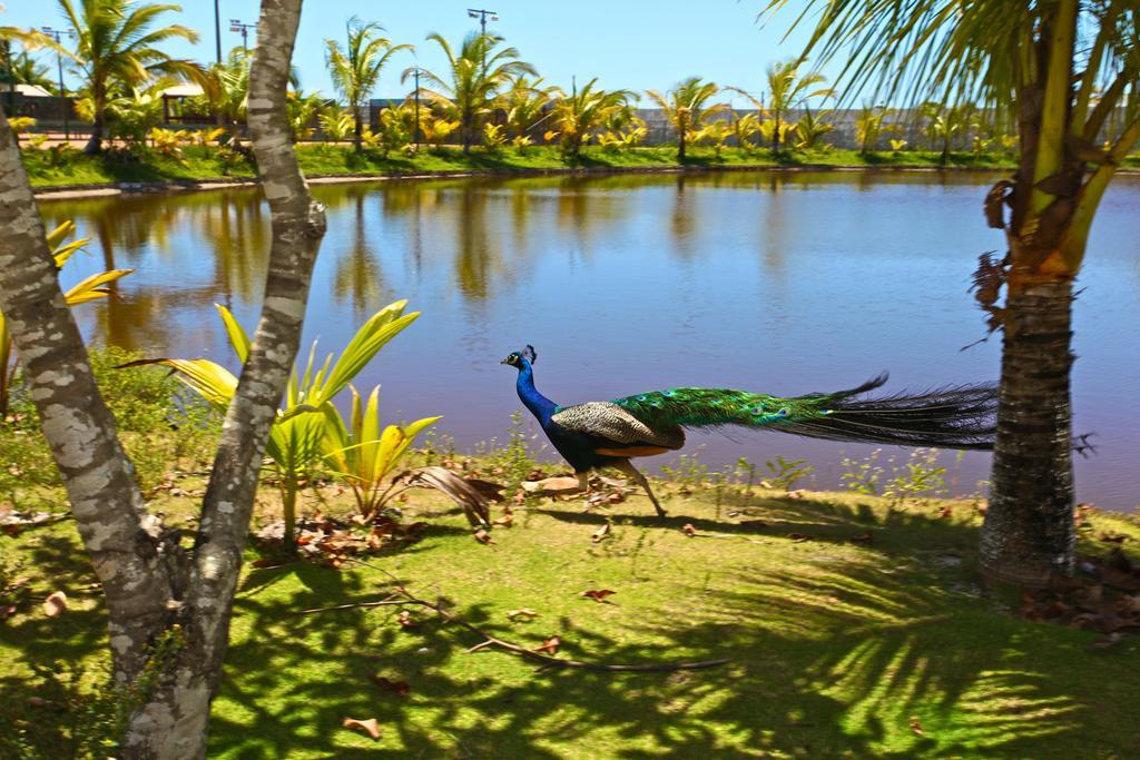 Capitania Praia Hotel Fazenda Mutari Экстерьер фото